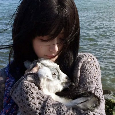 遥远的北方